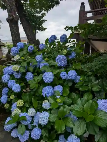 圓照寺(東京都)