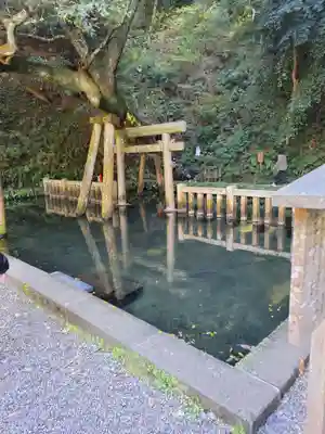 鹿島神宮(茨城県)