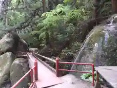 名草厳島神社の自然