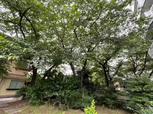 櫻田神社の自然