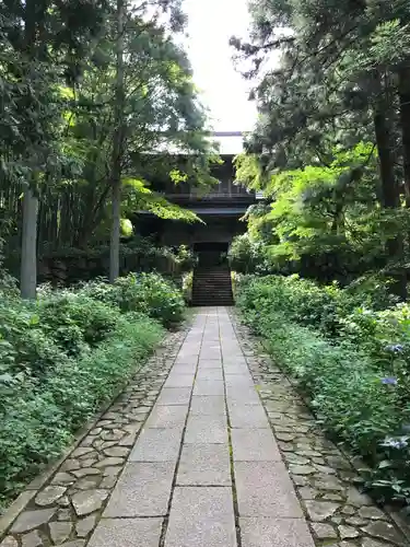 泰寧寺の山門