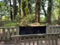 蜂子神社の{uncategorized: "未分類", other: "その他", undefined: "問題あり", building: "その他建物", grave: "お墓", sacred_gate: "鳥居", guardian: "狛犬", statue: "像", buddha: "仏像", history: "歴史", nature: "自然", garden: "庭園", animal: "動物", pagoda: "塔", temizu: "手水舎", mountain_gate: "山門・神門", sanctuary: "本殿・本堂", subordinate: "末社・摂社", art: "芸術", scenery: "景色", jizo: "地蔵", ema: "絵馬", goshuin: "御朱印", omikuji: "おみくじ", items: "授与品その他", amulet: "お守り", goshuincho: "御朱印帳", eats: "食事", festival: "お祭り", votive_dance: "神楽", shichigosan: "七五三参", wedding: "結婚式", experience: "体験その他", initially: "初詣", around: "周辺", anti_infection: "感染症対策"}