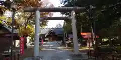 上富良野神社の鳥居