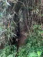 神社(名称不明)の周辺