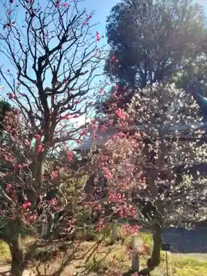 布多天神社(東京都)