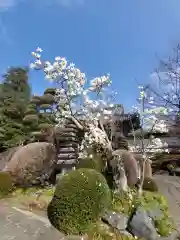 松月院の建物その他