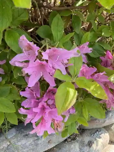 萬祥山常福寺(愛知県)