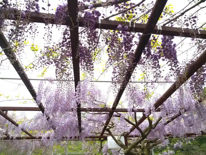 和氣神社(和気神社)の自然