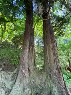 長谷寺(奈良県)