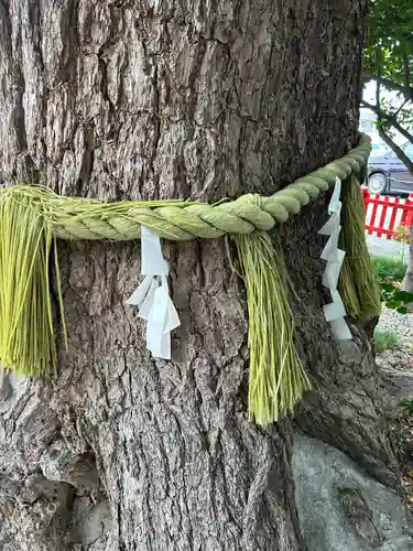 鴻神社の自然