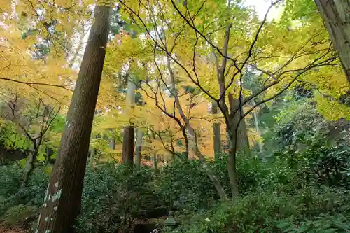 東慶寺の自然