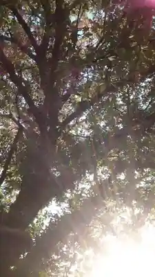 感通寺(東京都)