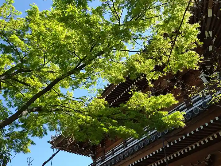 伝通院(東京都)