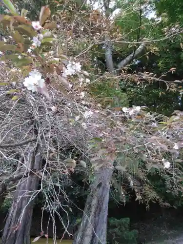 鹿島大神宮の自然