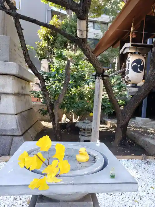 高円寺氷川神社(東京都)