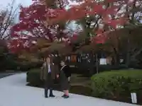 将軍塚青龍殿(青蓮院門跡)の庭園