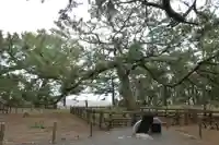 羽車神社のその他建物