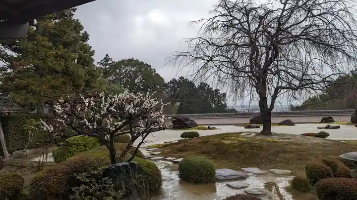正法寺(京都府)