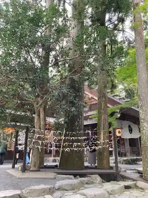 椿大神社(三重県)