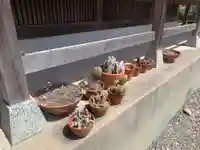 円融寺(千葉県)