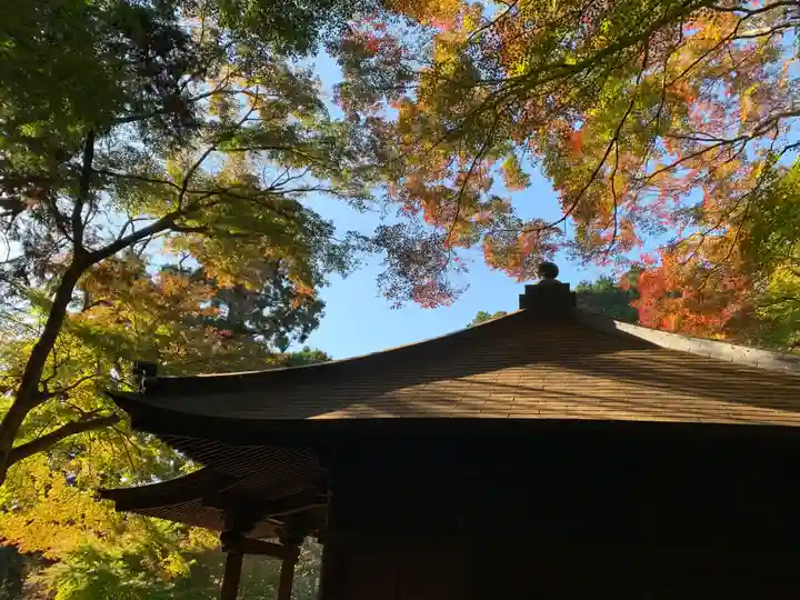普門寺(切り絵御朱印発祥の寺)の自然