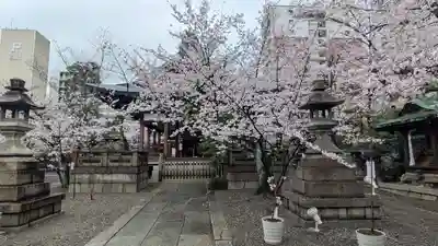 天孫神社(滋賀県)
