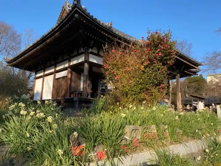 般若寺 ❁コスモス寺❁のその他建物