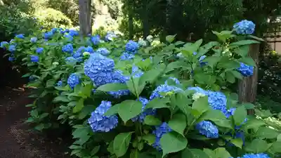 高林寺(福島県)