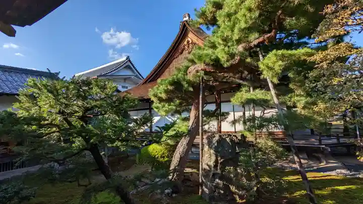 大覚寺(京都府)
