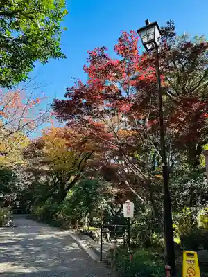 乃木神社(東京都)