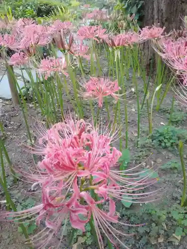 横浜　西方寺の自然