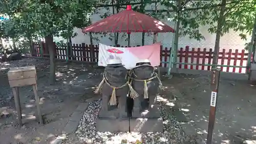 浅草神社の狛犬