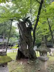 蠶養國神社(福島県)