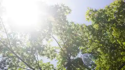 堀越神社(大阪府)