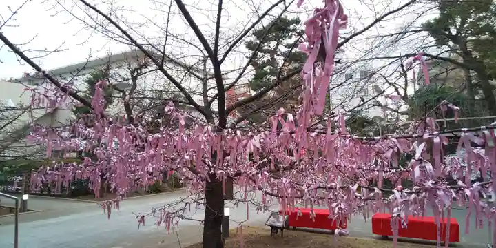 桜神宮のその他建物