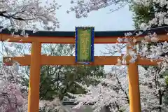 平野神社の鳥居