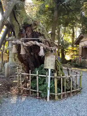 川尻八幡宮の自然