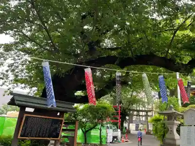 居木神社(東京都)