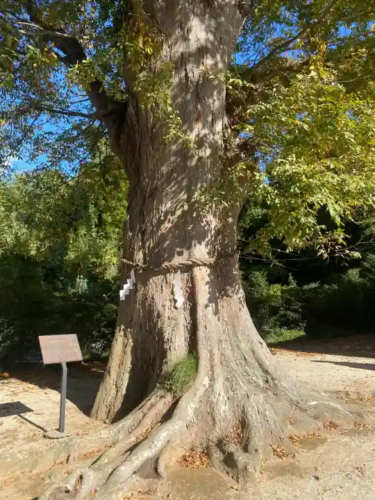 素鵞神社(茨城県)