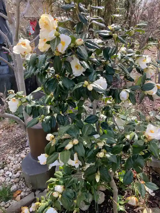 常泉寺(神奈川県)