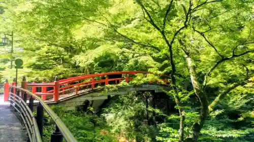 伊香保神社(群馬県)