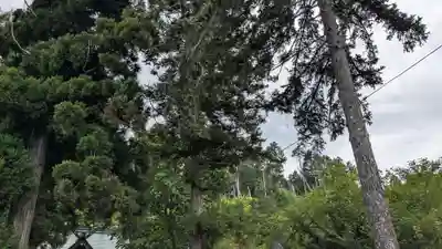 壮瞥神社(北海道)