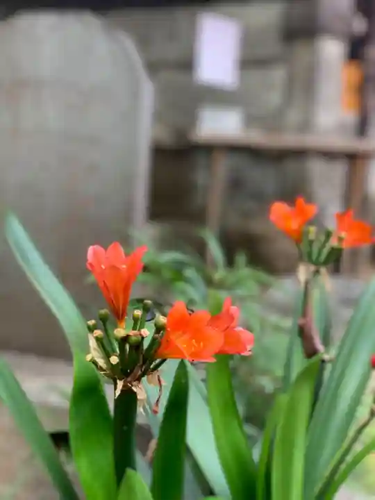 くまくま神社(導きの社 熊野町熊野神社)の自然