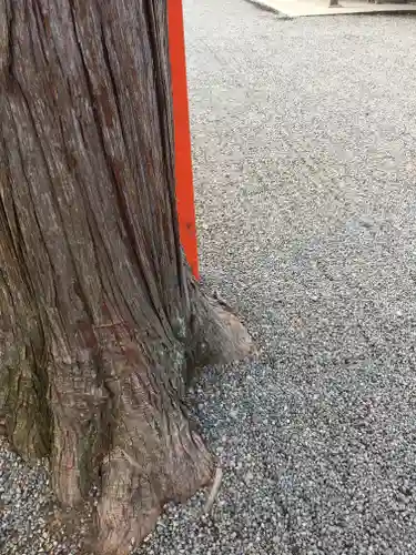 吉田神社(京都府)