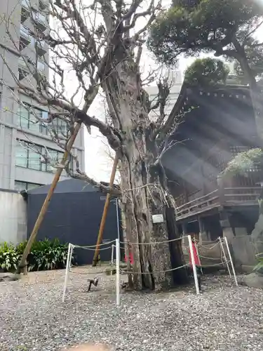 廣尾稲荷神社の御朱印
