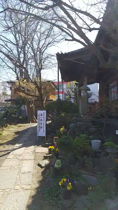 願成寺のその他建物