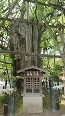 稲毛神社の自然