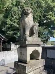 綾延神社の狛犬