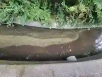 吉井神社(愛媛県)