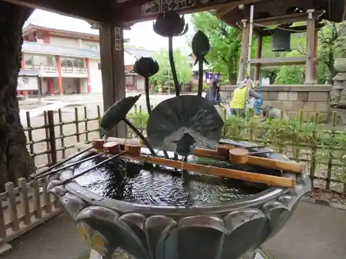 新井薬師（梅照院）の手水舎